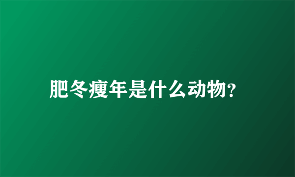 肥冬瘦年是什么动物？