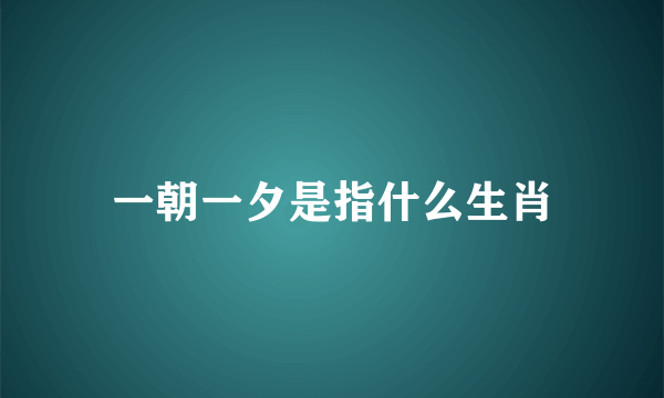 一朝一夕是指什么生肖