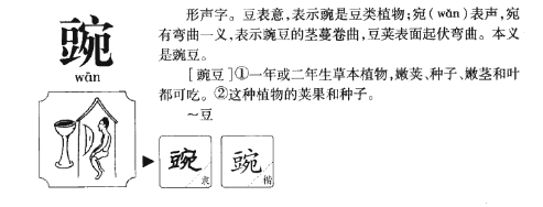 豌字组词有哪些