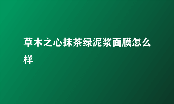 草木之心抹茶绿泥浆面膜怎么样