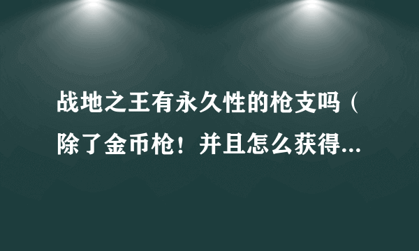 战地之王有永久性的枪支吗（除了金币枪！并且怎么获得！谢谢！）