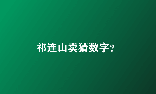 祁连山卖猜数字？