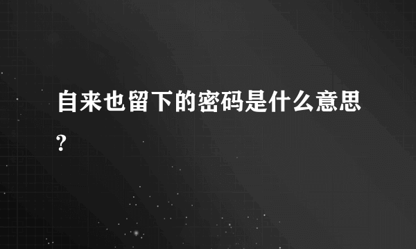 自来也留下的密码是什么意思?