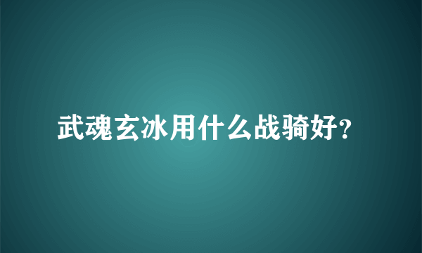 武魂玄冰用什么战骑好？