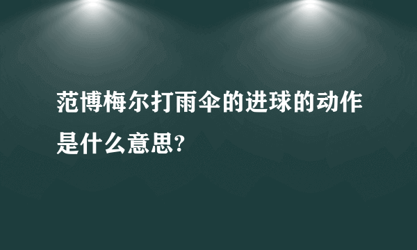 范博梅尔打雨伞的进球的动作是什么意思?