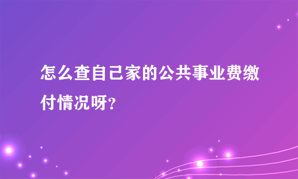 怎么查自己家的公共事业费缴付情况呀？