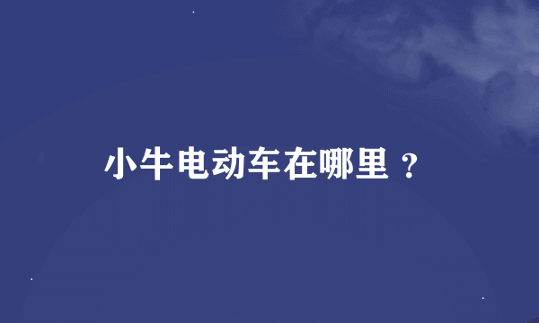 小牛电动车在哪里 ？