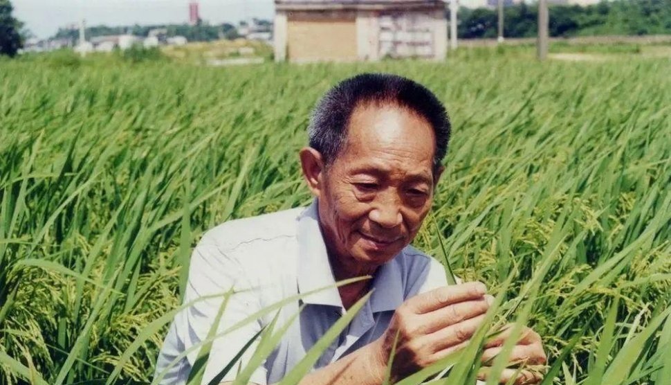 袁老逝世当天，全国多地上空惊现稻穗云，对此你有何感触？