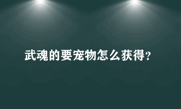 武魂的要宠物怎么获得？