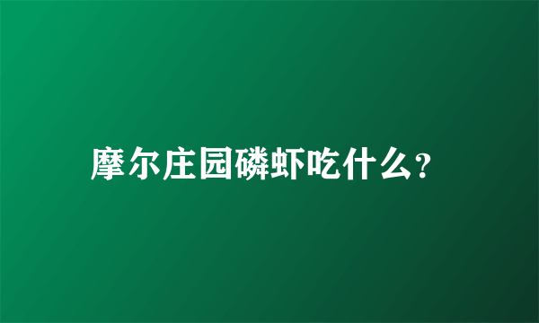 摩尔庄园磷虾吃什么？