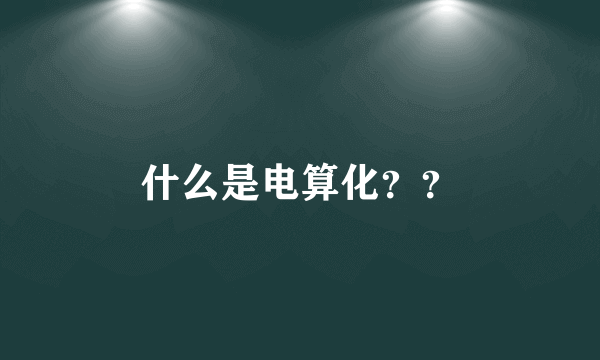 什么是电算化？？