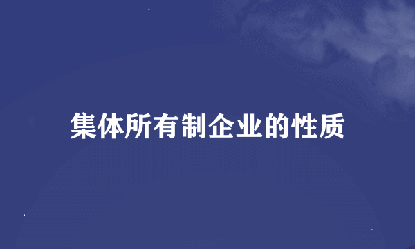 集体所有制企业的性质