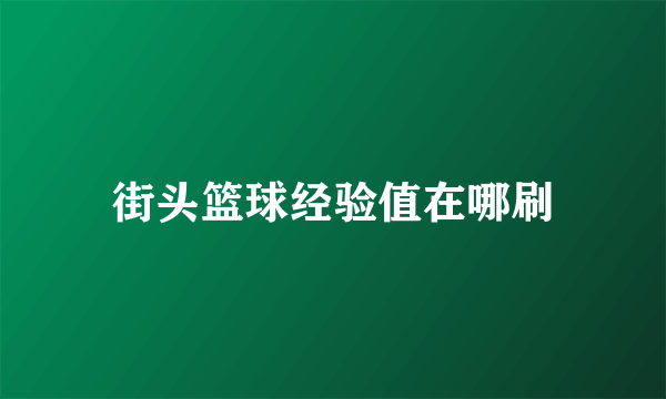 街头篮球经验值在哪刷