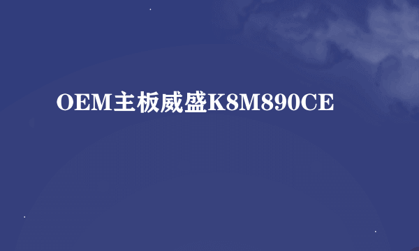 OEM主板威盛K8M890CE