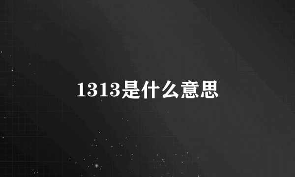 1313是什么意思