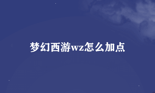 梦幻西游wz怎么加点