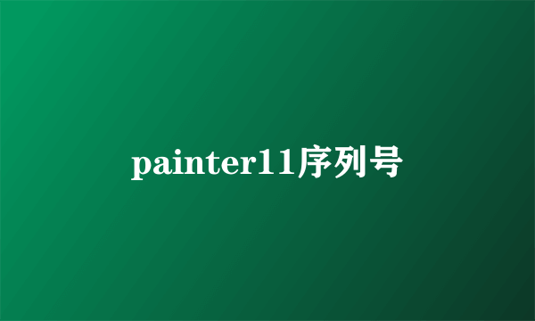 painter11序列号