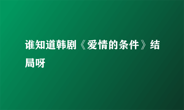 谁知道韩剧《爱情的条件》结局呀