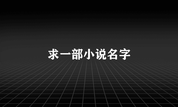 求一部小说名字