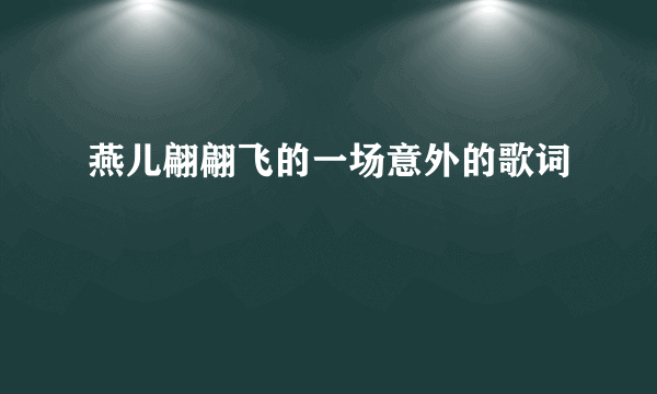 燕儿翩翩飞的一场意外的歌词