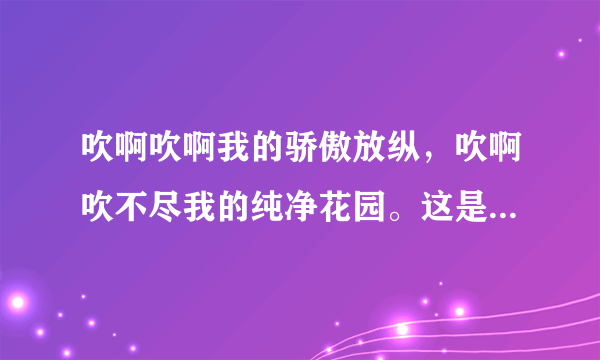 吹啊吹啊我的骄傲放纵，吹啊吹不尽我的纯净花园。这是哪首歌的歌词？