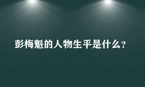 彭梅魁的人物生平是什么？