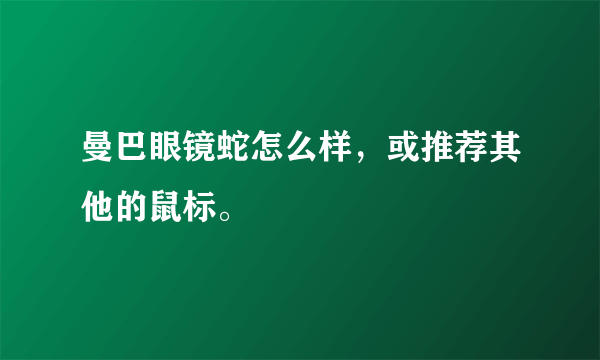 曼巴眼镜蛇怎么样，或推荐其他的鼠标。