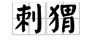 “刺猬”正确的汉语拼音怎么写？