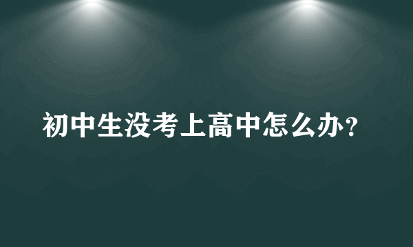 初中生没考上高中怎么办？