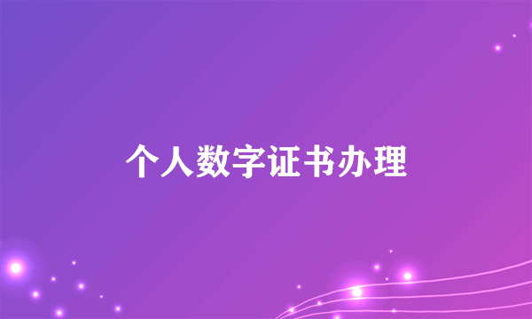 个人数字证书办理