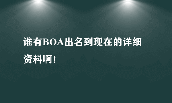 谁有BOA出名到现在的详细资料啊！