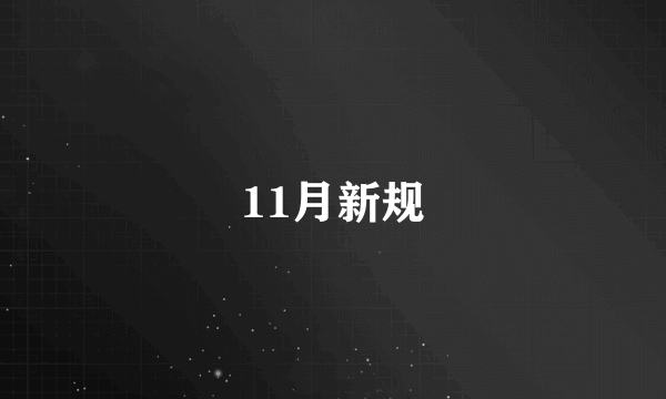 11月新规