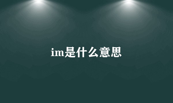 im是什么意思