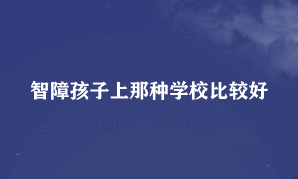 智障孩子上那种学校比较好