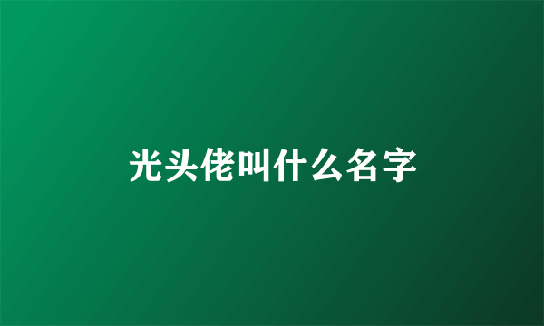 光头佬叫什么名字