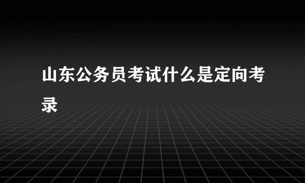 山东公务员考试什么是定向考录