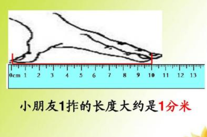 一分米等于多少厘米？