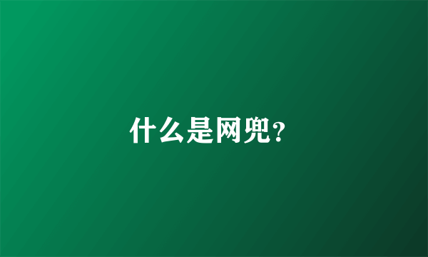 什么是网兜？