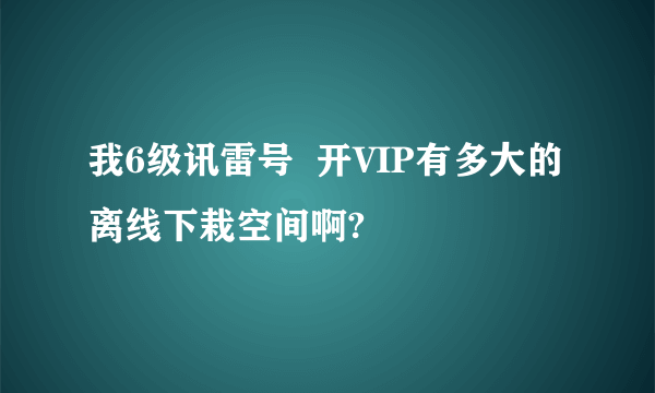 我6级讯雷号  开VIP有多大的离线下栽空间啊?