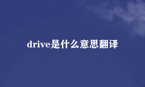 drive是什么意思翻译