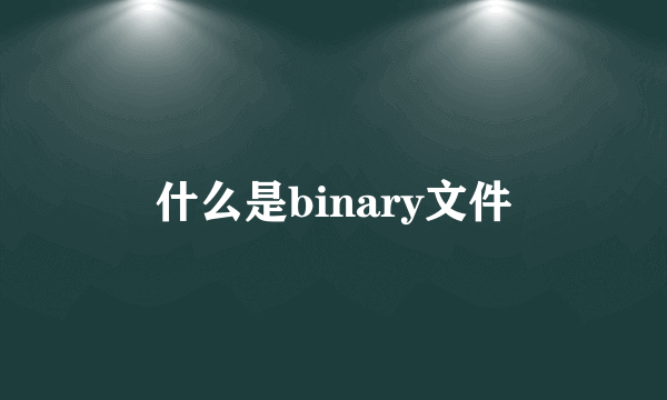 什么是binary文件