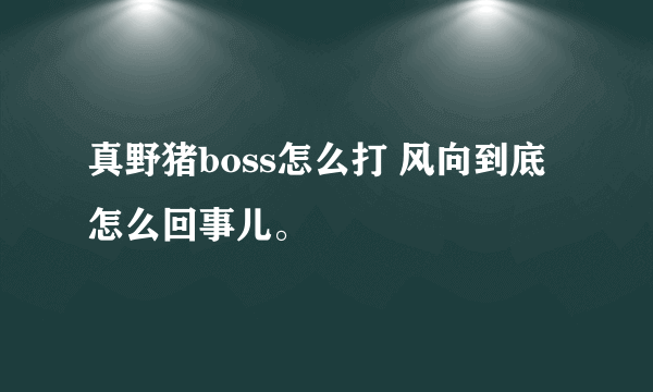 真野猪boss怎么打 风向到底怎么回事儿。