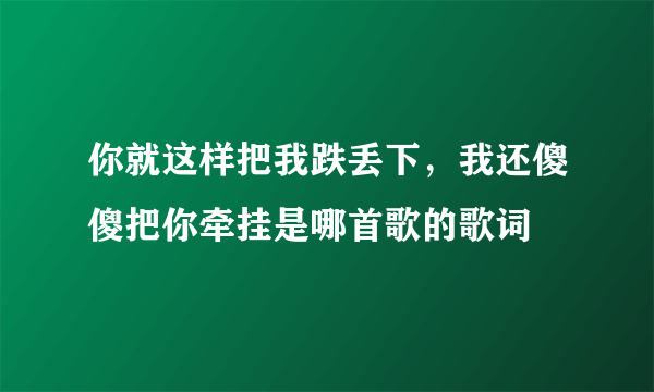 你就这样把我跌丢下，我还傻傻把你牵挂是哪首歌的歌词