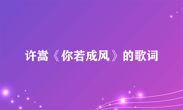 许嵩《你若成风》的歌词