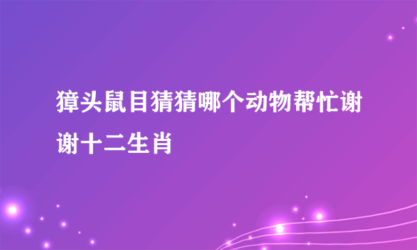 獐头鼠目猜猜哪个动物帮忙谢谢十二生肖