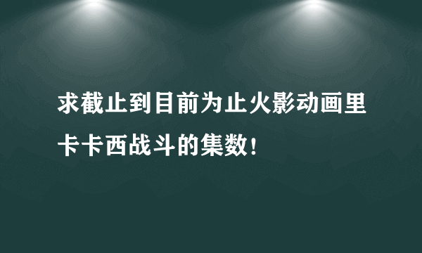 求截止到目前为止火影动画里卡卡西战斗的集数！