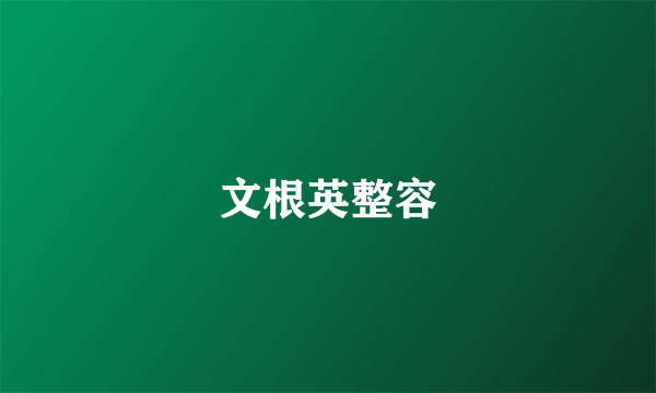 文根英整容