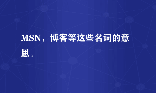 MSN，博客等这些名词的意思。