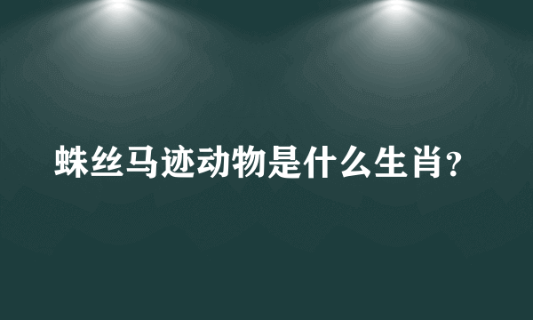 蛛丝马迹动物是什么生肖？