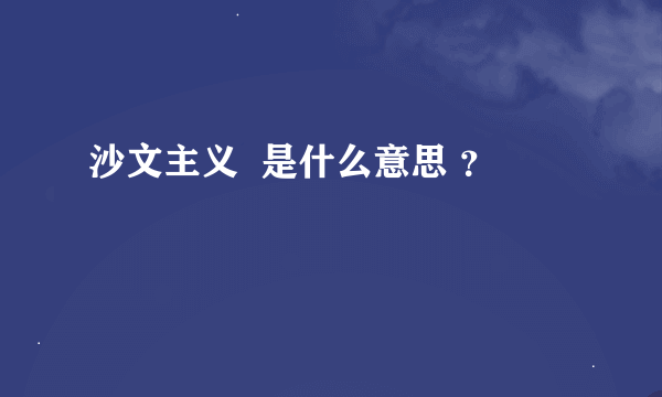 沙文主义  是什么意思 ？